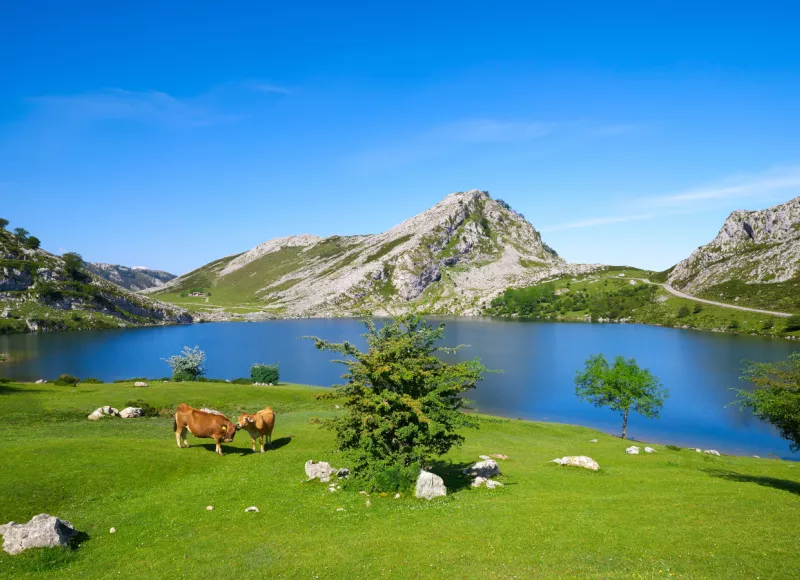Trip to Covadonga Lakes and Cangas de Onís from Santander Buendía